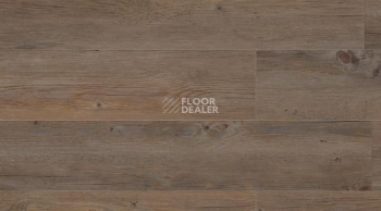 Кварцвиниловые полы Creation 70 0359 Wild Oak фото 1 | FLOORDEALER